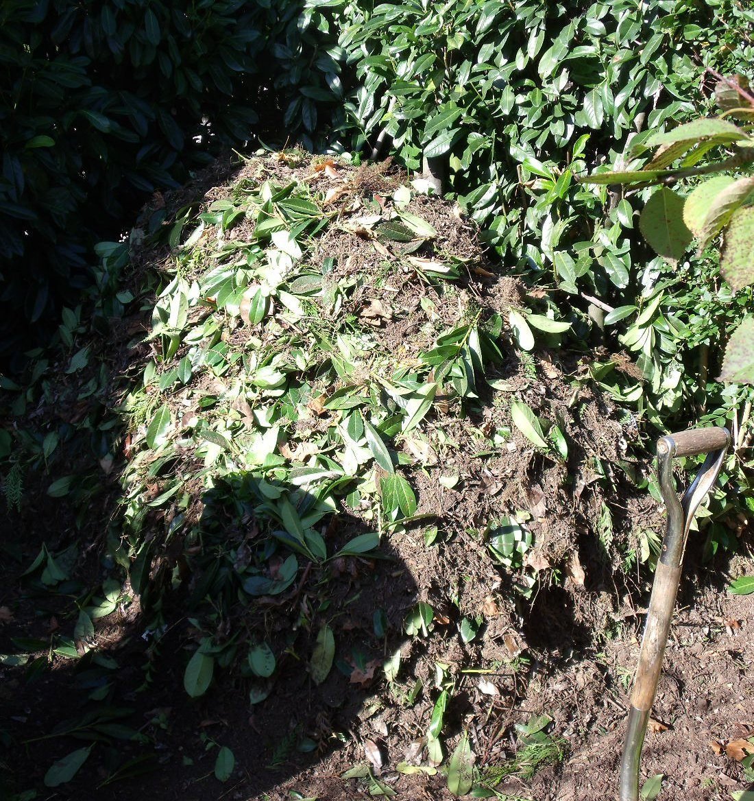 Organic compost powder